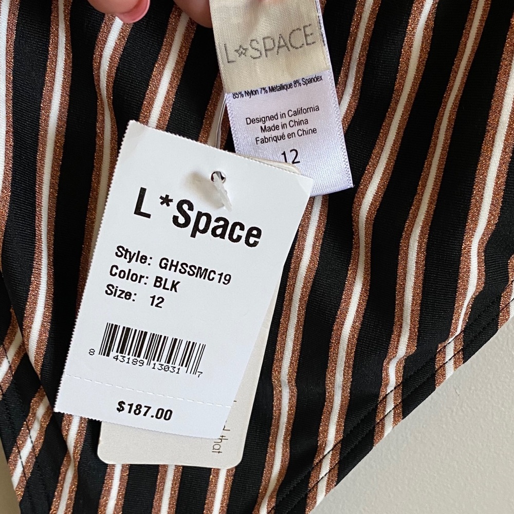 NWT L*SPACE Horizon Stripe Sunscape One Piece 12 - Picture 11 of 12